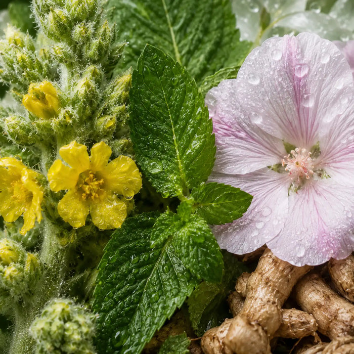 Mullein flavor